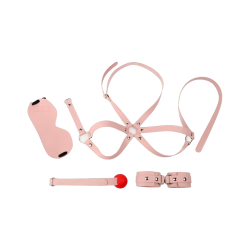 Coffret d'Initiation BDSM Obedience 4 Pièces Rose